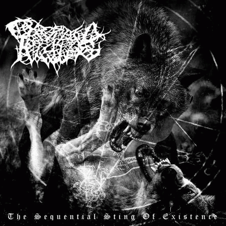 Cryptic Rising : The Sequential Sting of Existence